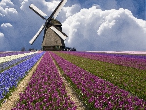 Floral, Windmill, field