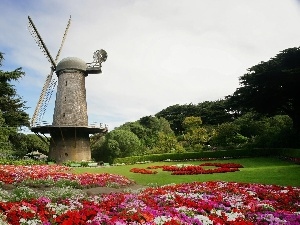 Windmill, viewes, Flowers, trees