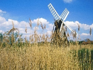 Windmill, grass, Meadow, dry