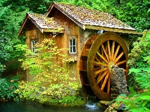 water, Windmill, forest