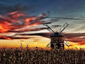 Windmill, field, west, sun