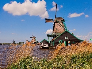Windmills, lake