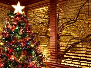 Window, christmas, Coloured, winter, christmas tree