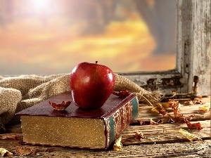 Window, Autumn, Leaf, Apple, composition, Book