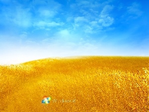 Windows 8, Sky, Lany, logo, cereals