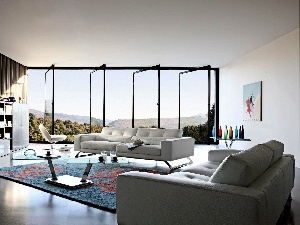 Windows, TV, sofa, carpet