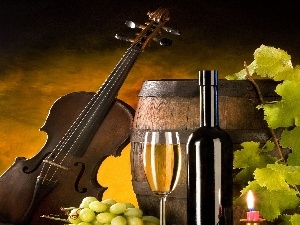 barrel, Wine, violin