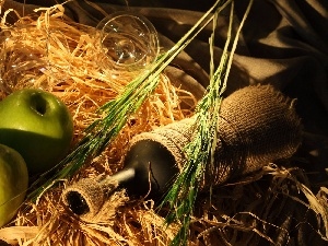 Wines, Bottle, green ones, apples