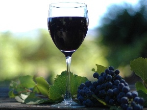 Wines, wine glass, spray, grapes