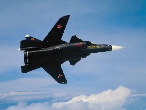 wings, Suchoj SU-47 Berkut