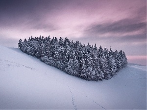 forest, winter, Mountains