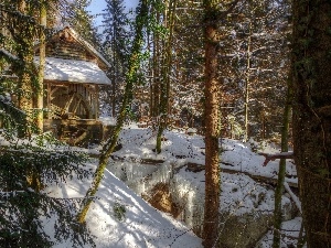 forest, winter, Watermill