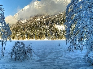 winter, forest, Mountains, Fog