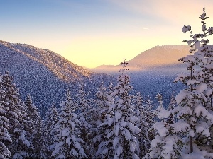 winter, snow, Mountains, forest