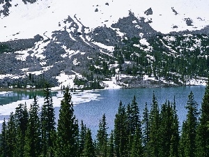 winter, Spruces, Mountains, River