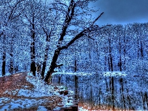winter, River, Park, Way