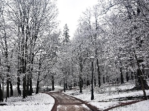 River, winter, Park