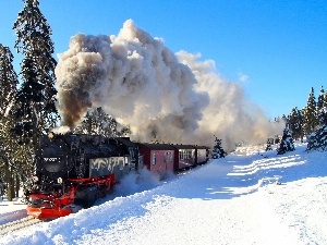 winter, viewes, Train, trees