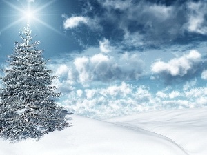 winter, snow, christmas tree, clouds