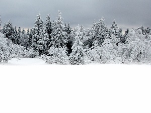 winter, snow, trees, viewes