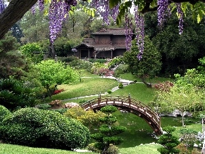 wistaria, bridges, Beatyfull, Garden