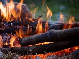burning, Wood, fire