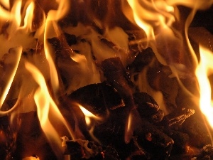 wood, carbon, combustion, Sparks