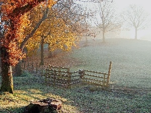 trunk, wood, Fog, autumn, fence, trees, viewes