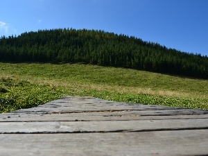 wooden, bridges, Zakopane, Meadow