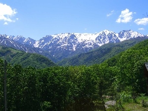 woods, Mountains, Alps, Switzerland