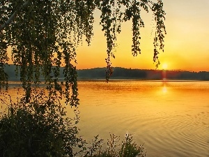 East, woods, Mountains, lake, sun, birch-tree