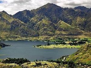 woods, Wanaka, Mountains, medows, lake