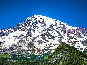 woods, mountains, volcano, Mount Rainier