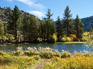 Mountains, woods, River