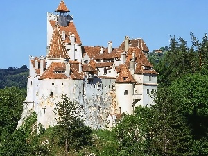 woods, Castle, Romania, Bran