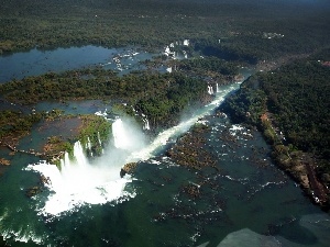 woods, waterfalls