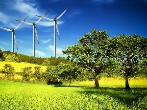 Windmills, woods, medows