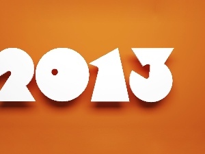 Year 2013