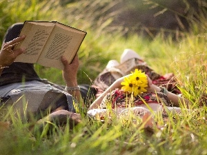 Yellow, Steam, Book, Meadow, Flowers, grass