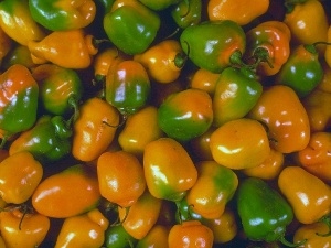 Yellow, peppers, green ones