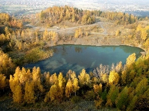 Yellow, birch, Leaf, autumn, Houses, lake