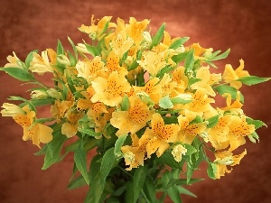 Yellow, Alstroemeria, bouquet