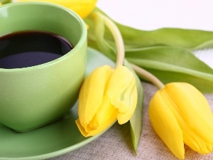 Yellow, coffee, Green, Tulips, cup