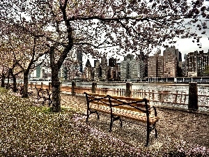 New York, River, skyscrapers, boulevard, USA, Bench