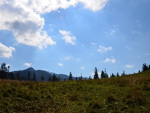 Zakopane, Sky, 2560 Meadow