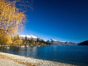 New Zeland, viewes, trees, lake, Wakatipu, Beaches, Mountains