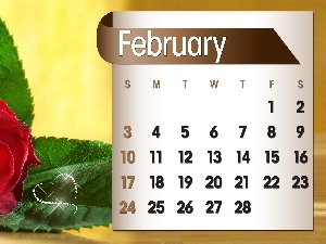 2013, february, Calendar, rose