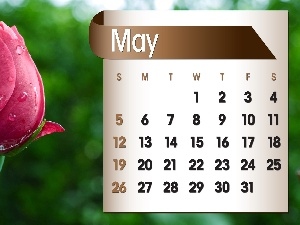 2013, may, Calendar, rose