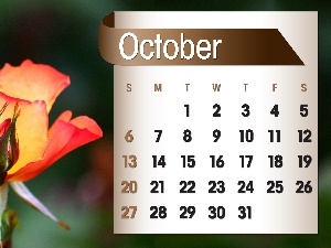 2013, october, Calendar, roses