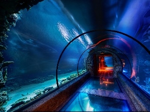 tunnel, Aquarium, immersed